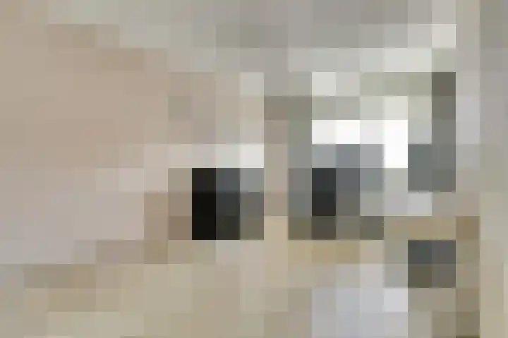 Pallieterplein 109 Oosterhout thumbnail 22
