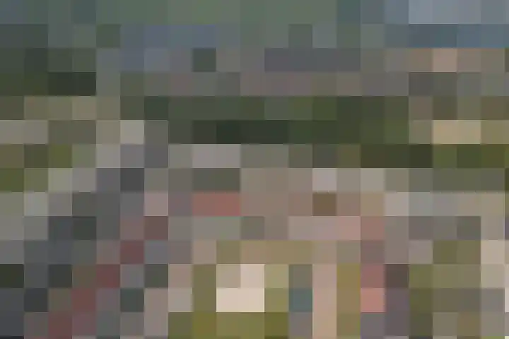 Pallieterplein 109 Oosterhout thumbnail 40