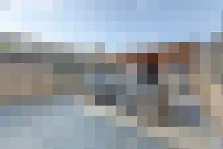 Pallieterplein 109 Oosterhout thumbnail 6