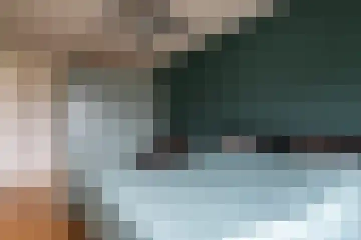 Pallieterplein 111 Oosterhout thumbnail 21