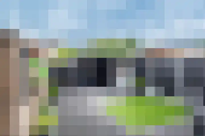 Pallieterplein 111 Oosterhout thumbnail 35
