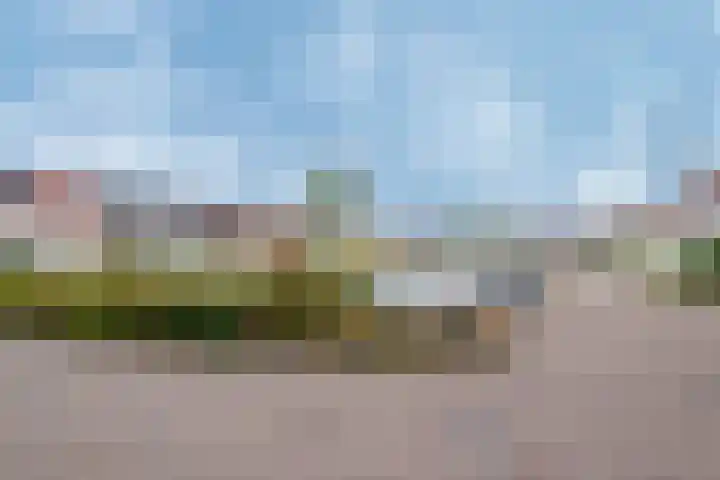Pallieterplein 111 Oosterhout thumbnail 39