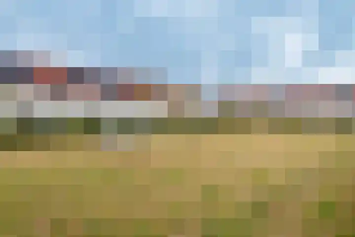 Pallieterplein 111 Oosterhout thumbnail 43
