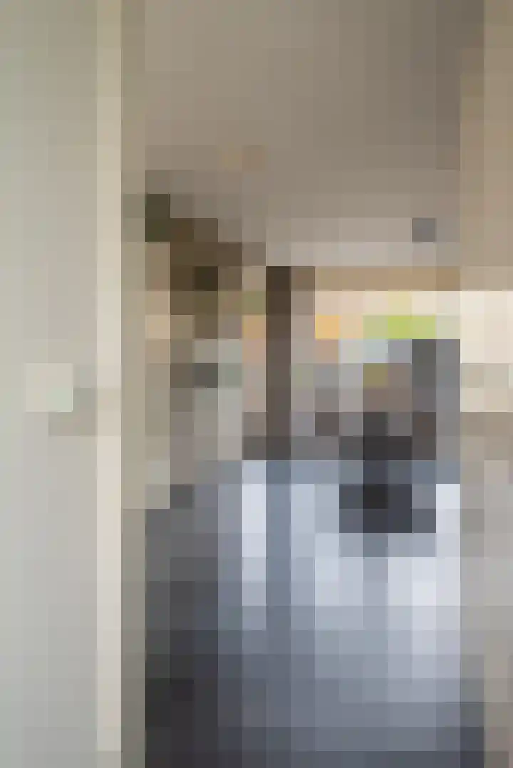 Pallieterplein 111 Oosterhout thumbnail 6