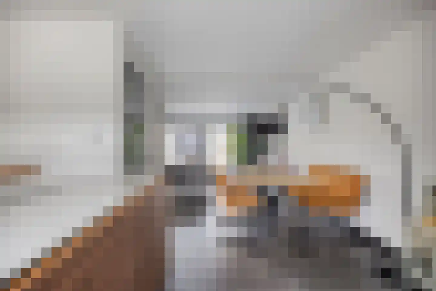 Pallieterplein 29 Oosterhout thumbnail 10