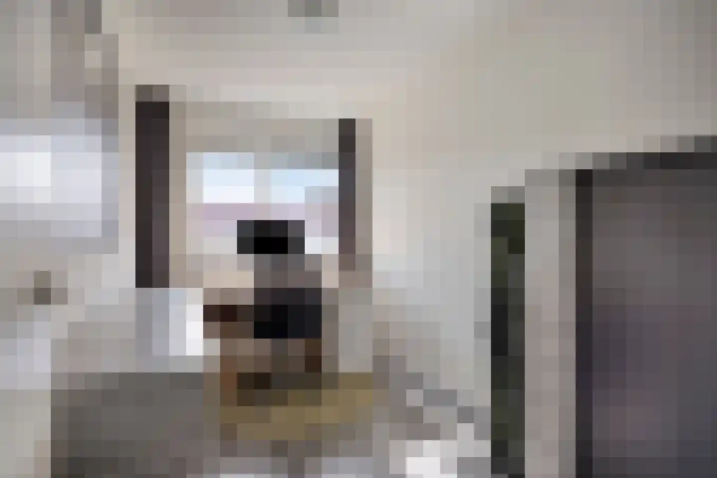 Pallieterplein 29 Oosterhout thumbnail 22