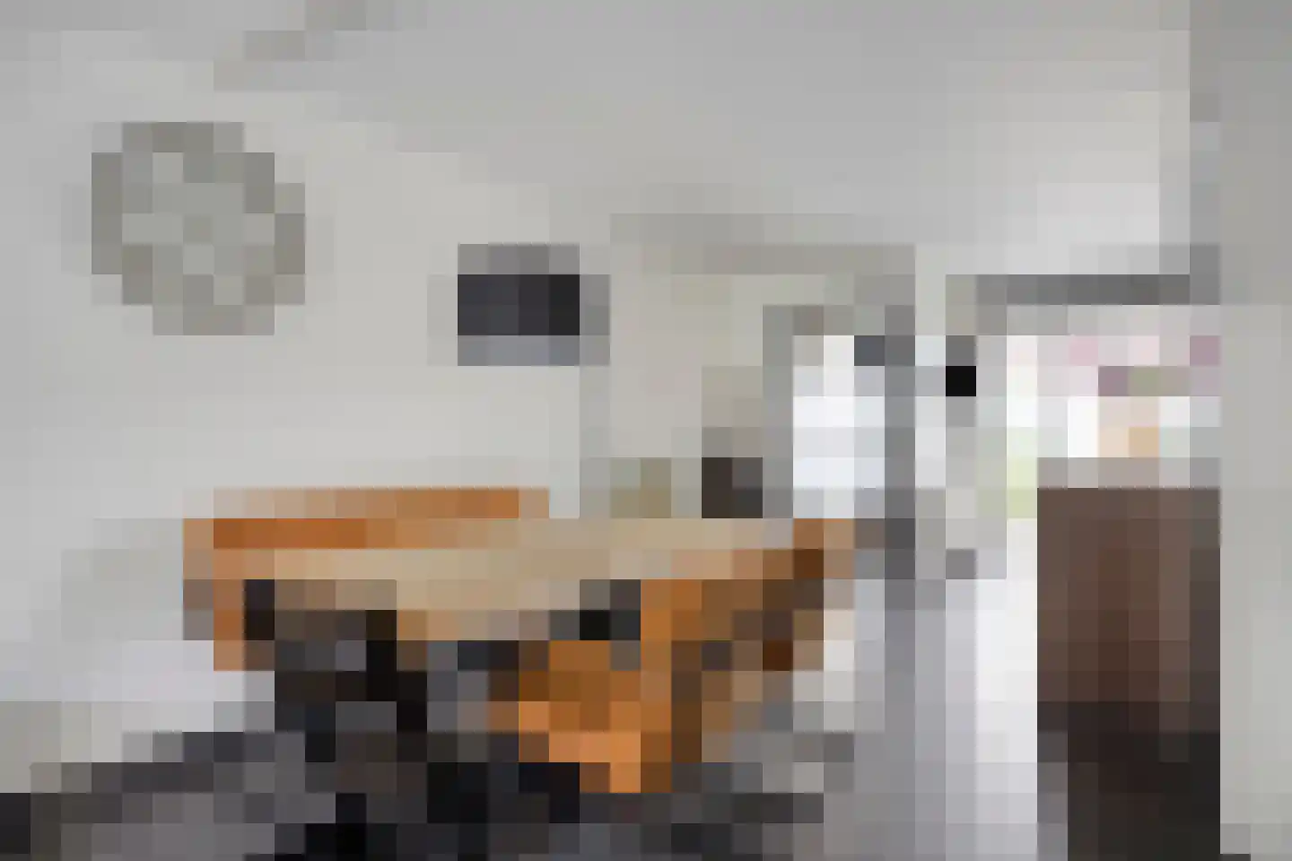 Pallieterplein 29 Oosterhout thumbnail 9