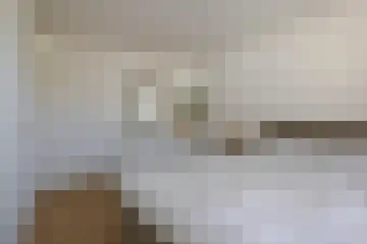 Pallieterplein 51 Oosterhout thumbnail 12