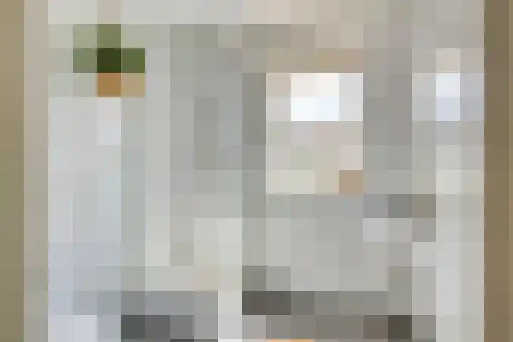 Pallieterplein 51 Oosterhout thumbnail 17