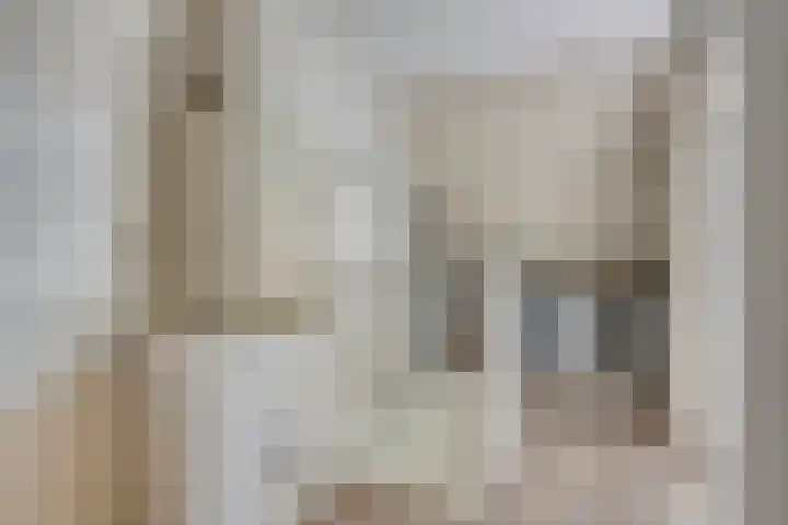 Pallieterplein 51 Oosterhout thumbnail 21