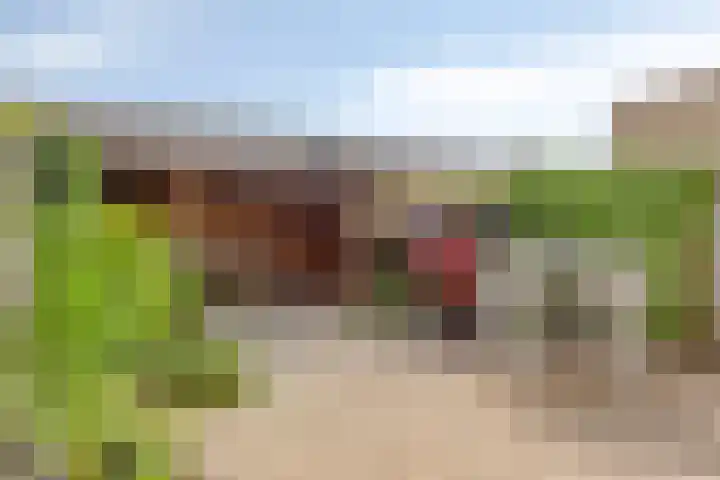 Pallieterplein 51 Oosterhout thumbnail 22