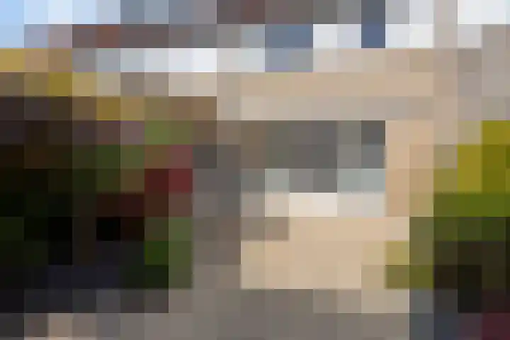 Pallieterplein 51 Oosterhout thumbnail 27