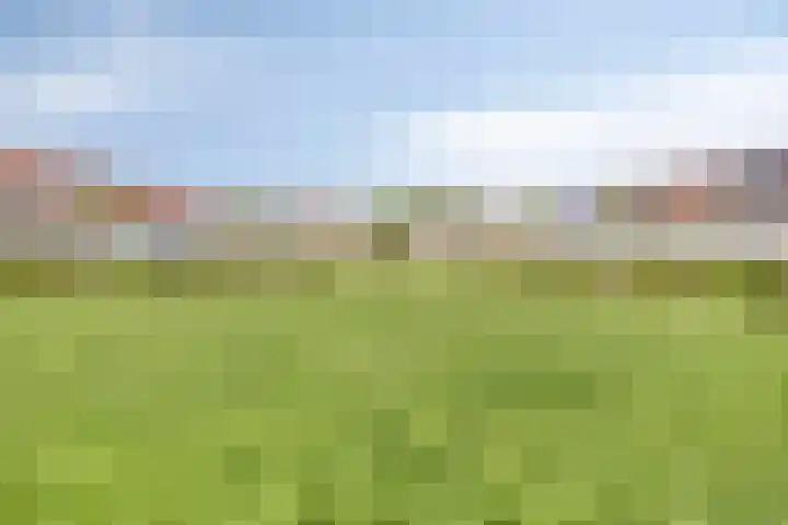 Pallieterplein 51 Oosterhout thumbnail 31