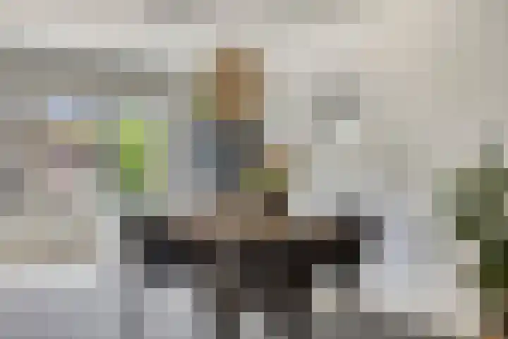 Pallieterplein 51 Oosterhout thumbnail 5