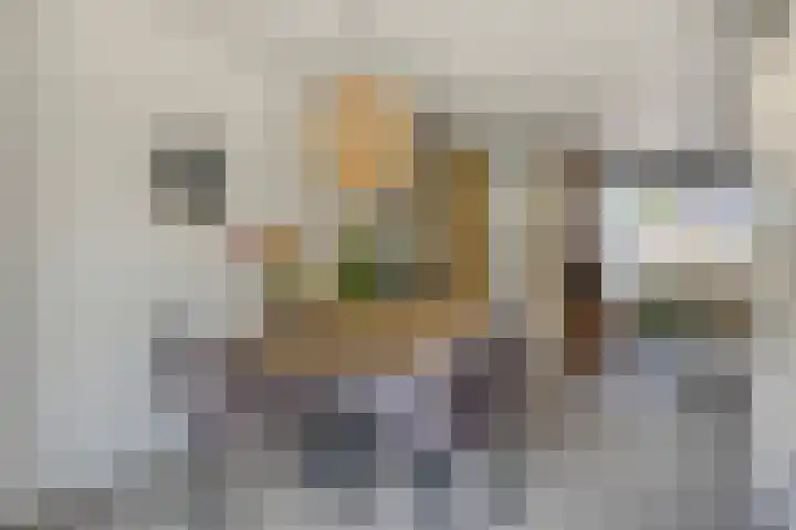 Pallieterplein 51 Oosterhout thumbnail 7