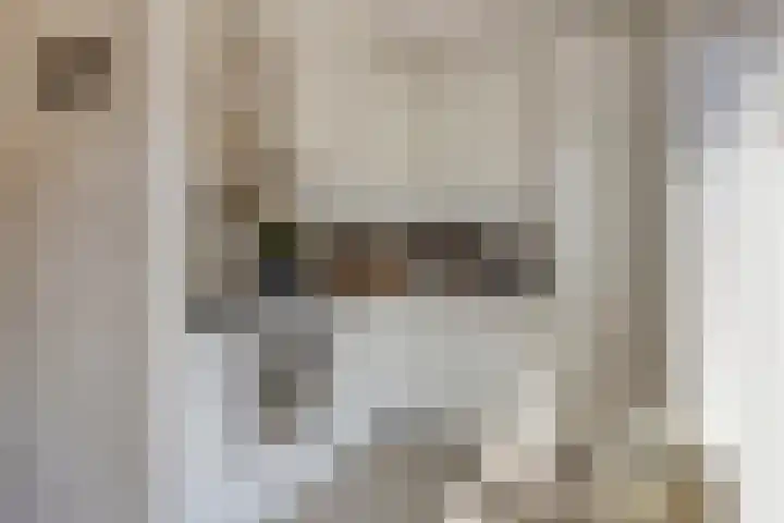 Pallieterplein 51 Oosterhout thumbnail 8