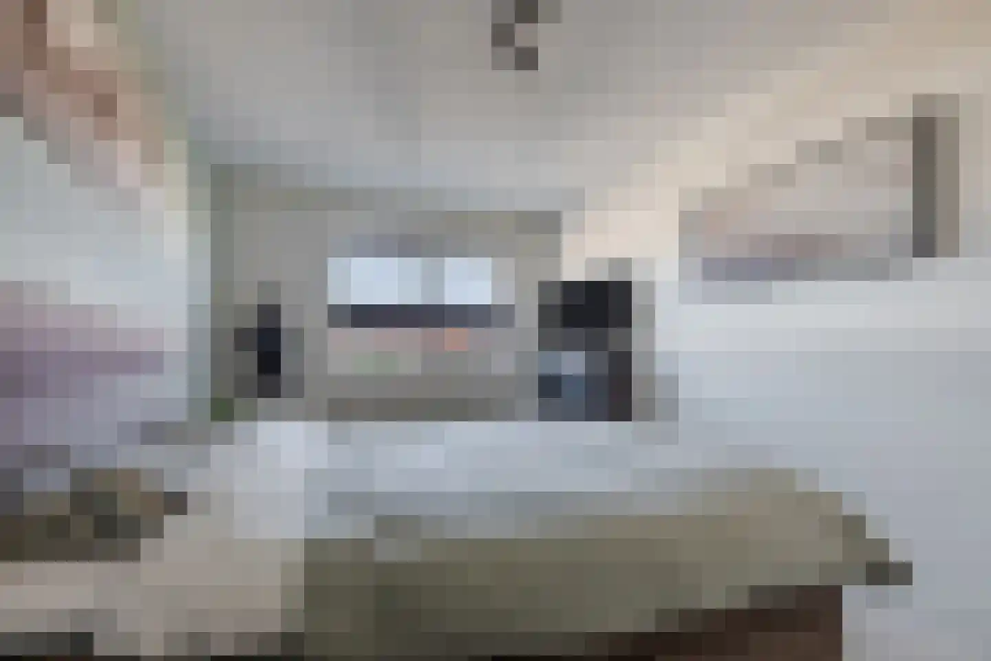 Pallieterplein 95 Oosterhout thumbnail 17