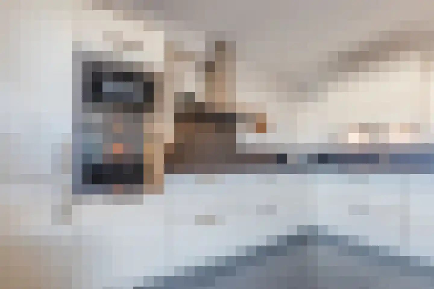 Pallieterplein 95 Oosterhout thumbnail 4