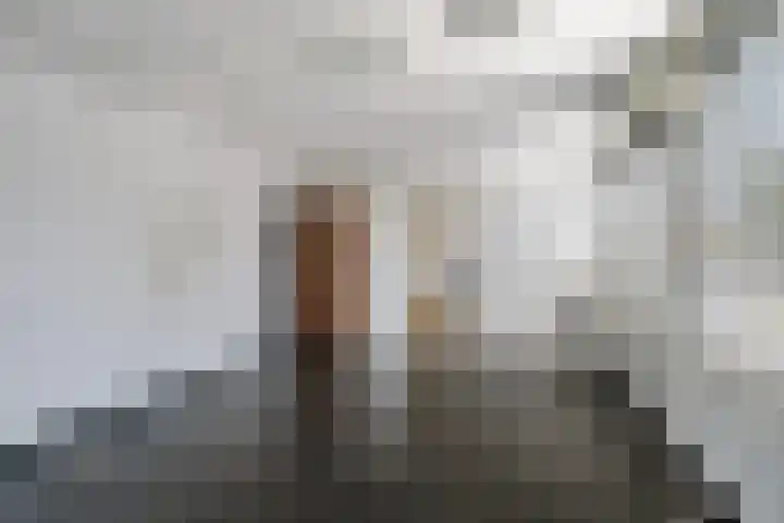 Pallieterstraat 39 Amstelveen thumbnail 13