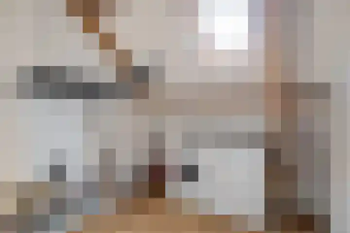Pallieterstraat 39 Amstelveen thumbnail 36
