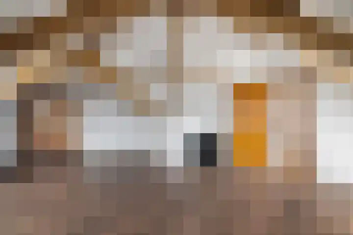 Pallieterstraat 39 Amstelveen thumbnail 38