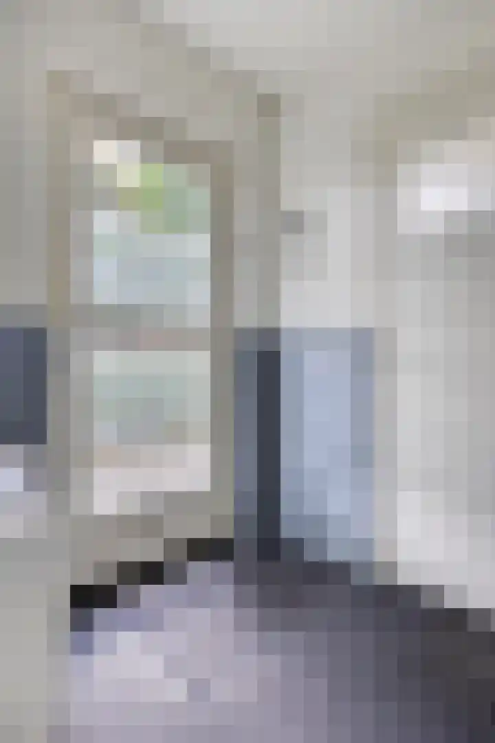 Palmboomstraat 103 's-Hertogenbosch thumbnail 11