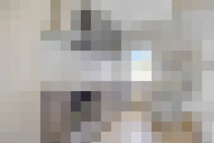 Palmboomstraat 103 's-Hertogenbosch thumbnail 17