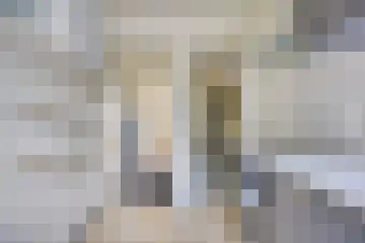 Palmboomstraat 103 's-Hertogenbosch thumbnail 18