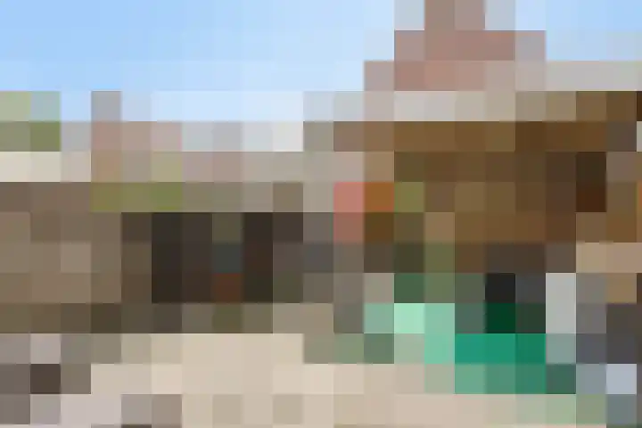 Palmboomstraat 103 's-Hertogenbosch thumbnail 32