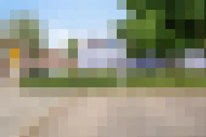 Palmboomstraat 103 's-Hertogenbosch thumbnail 34