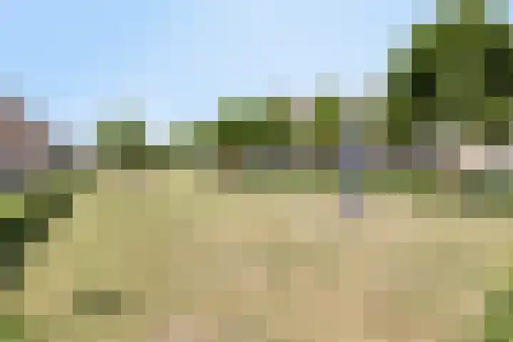 Palmboomstraat 103 's-Hertogenbosch thumbnail 37