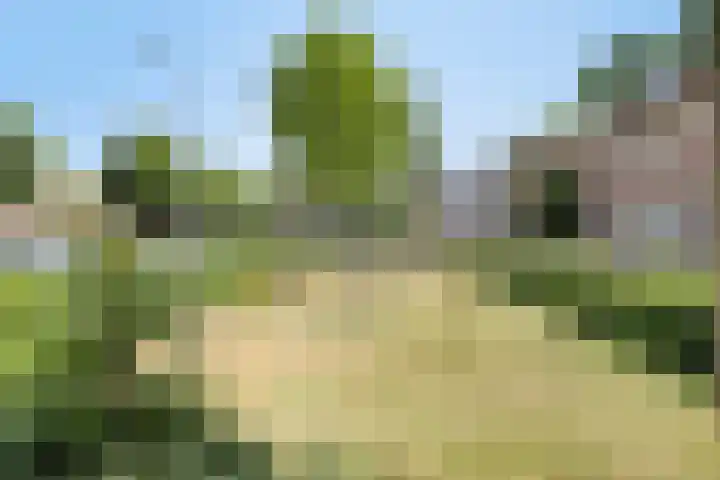 Palmboomstraat 103 's-Hertogenbosch thumbnail 38
