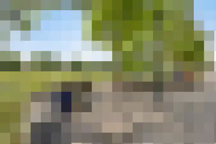 Palmboomstraat 103 's-Hertogenbosch thumbnail 39