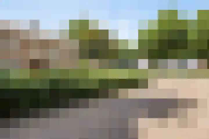Palmboomstraat 103 's-Hertogenbosch thumbnail 4