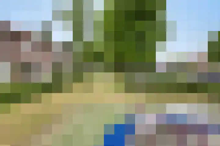 Palmboomstraat 103 's-Hertogenbosch thumbnail 41