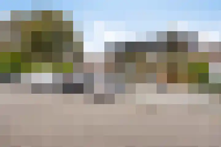 Palmboomstraat 103 's-Hertogenbosch thumbnail 43