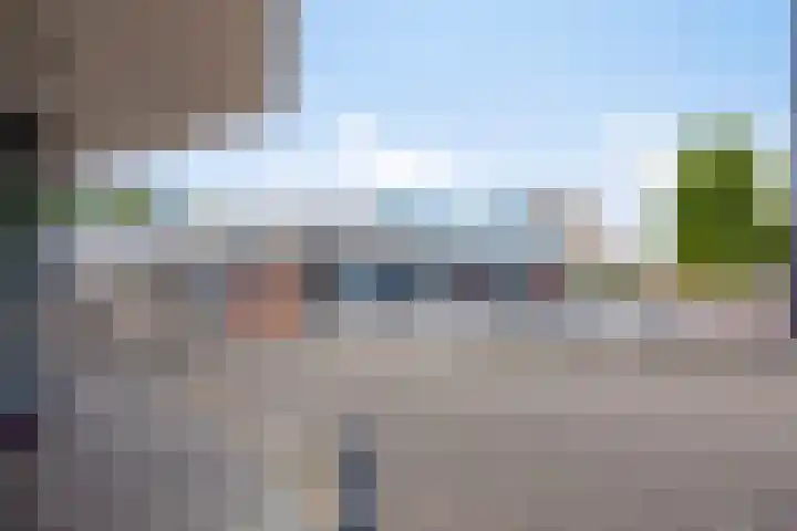 Palmboomstraat 103 's-Hertogenbosch thumbnail 46