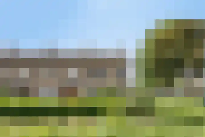 Palmboomstraat 103 's-Hertogenbosch thumbnail 5