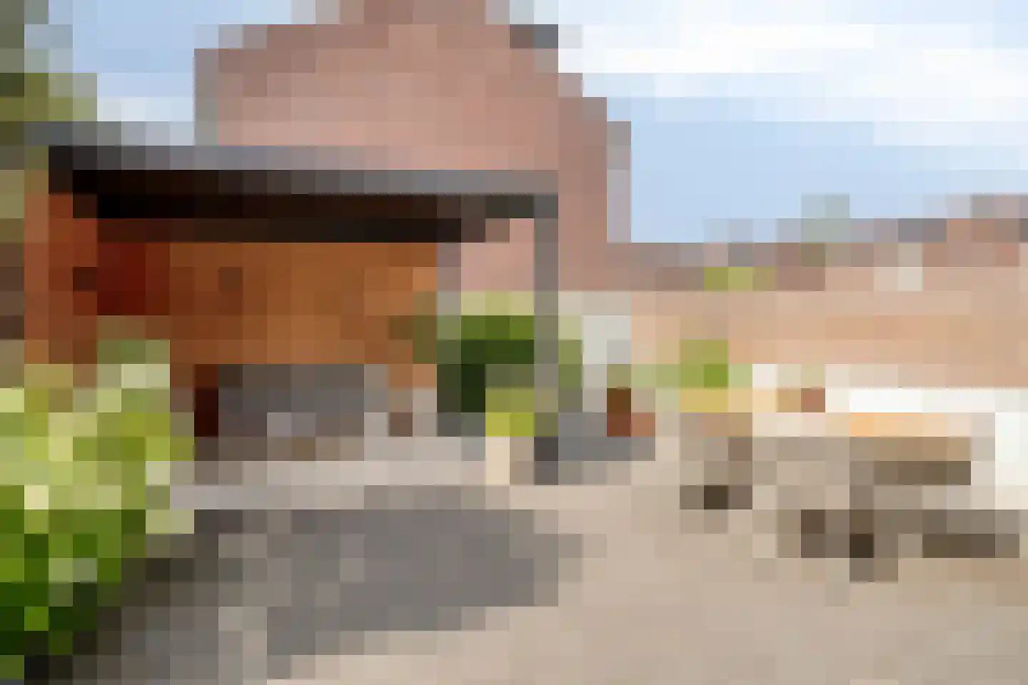 Palmboomstraat 104 's-Hertogenbosch thumbnail 10