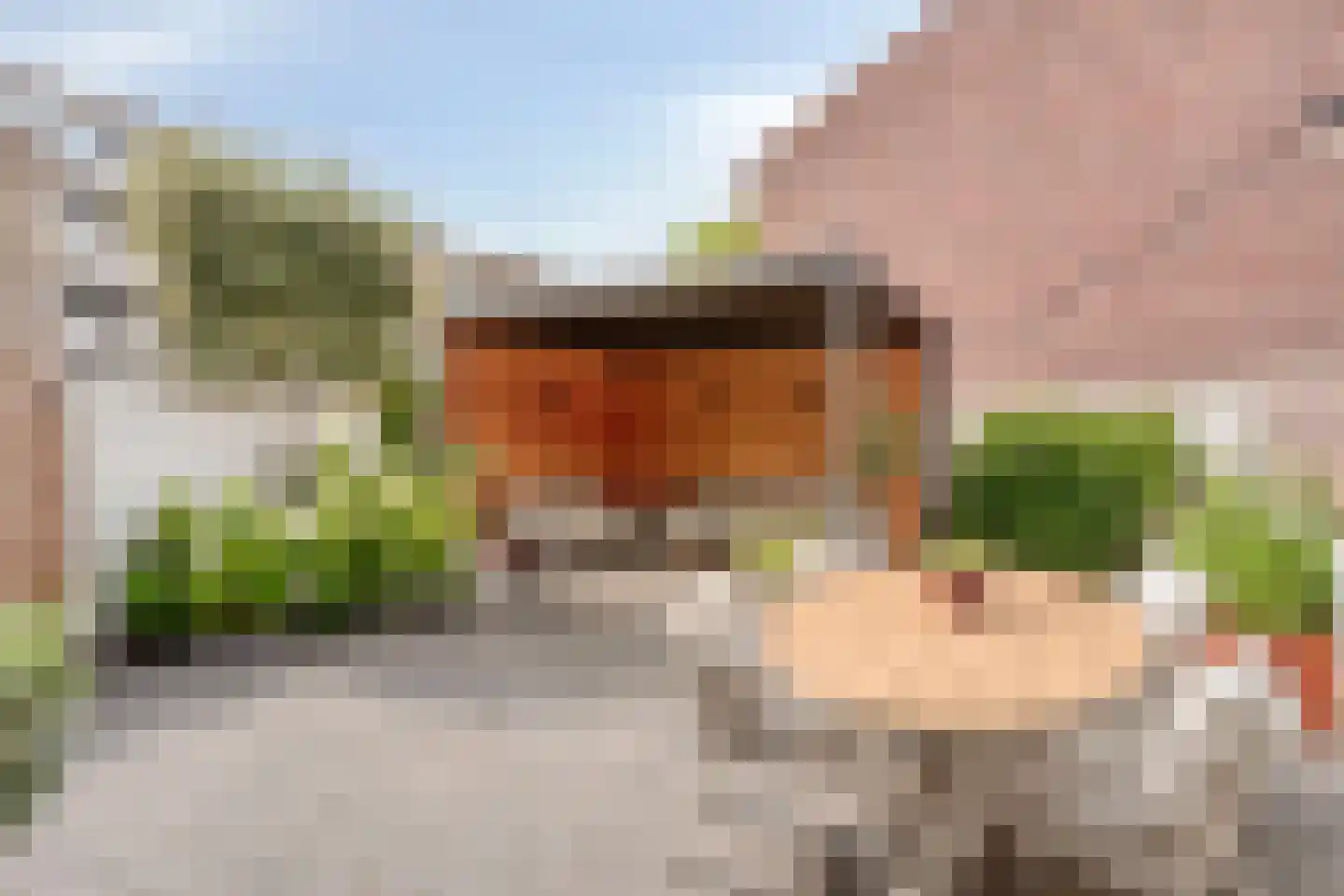 Palmboomstraat 104 's-Hertogenbosch thumbnail 11
