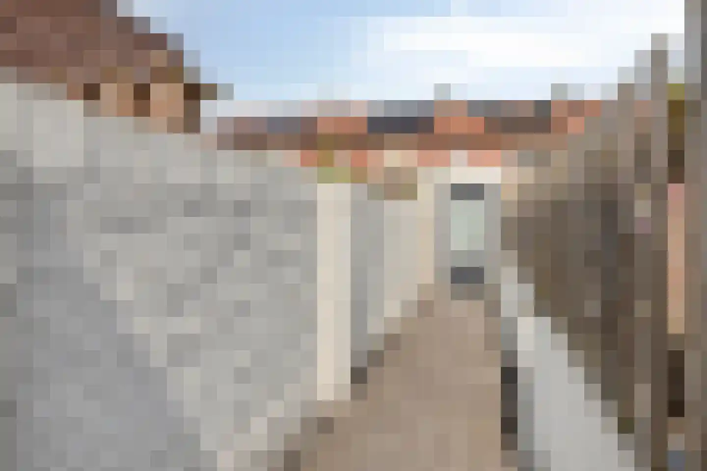 Palmboomstraat 104 's-Hertogenbosch thumbnail 13