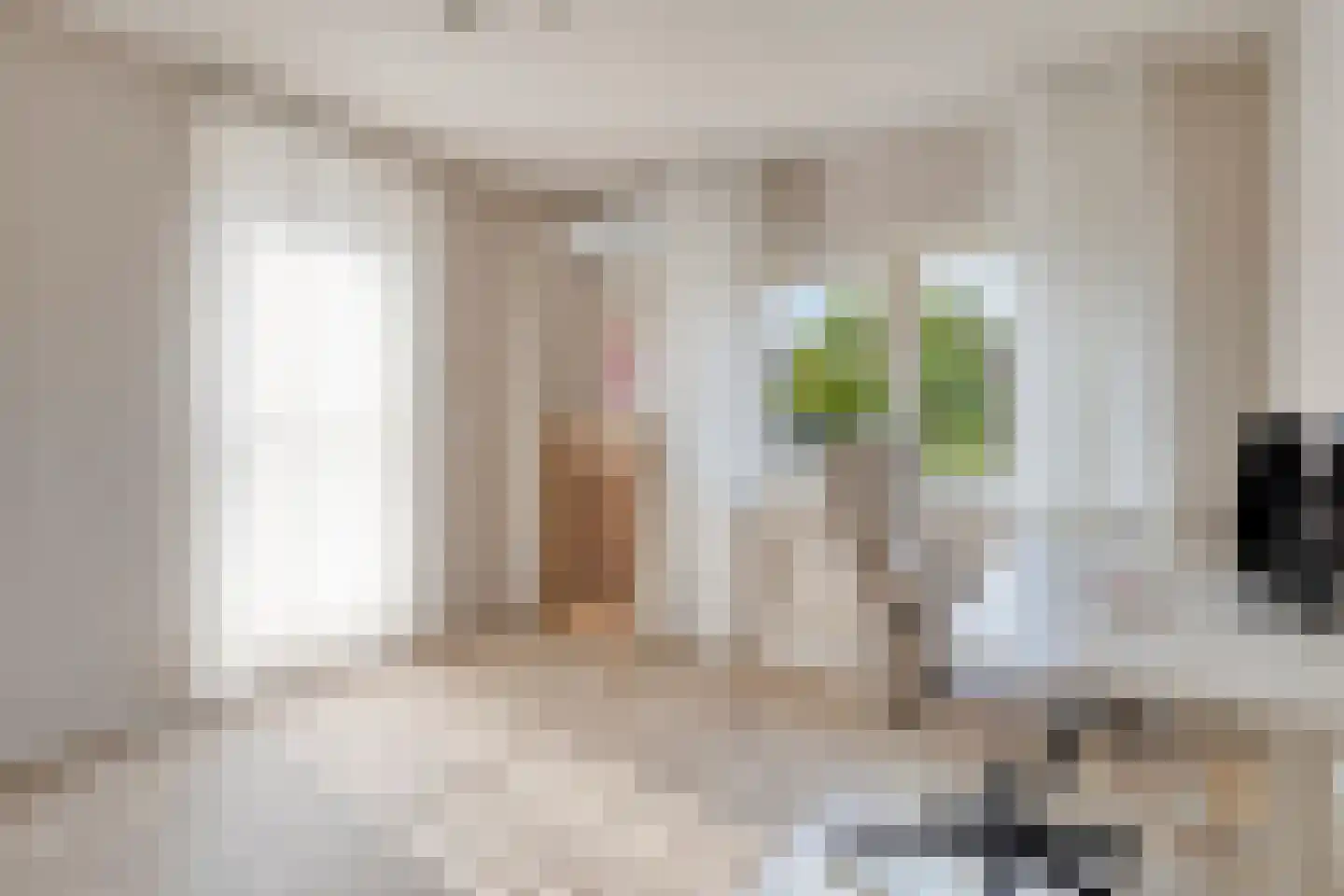 Palmboomstraat 104 's-Hertogenbosch thumbnail 18