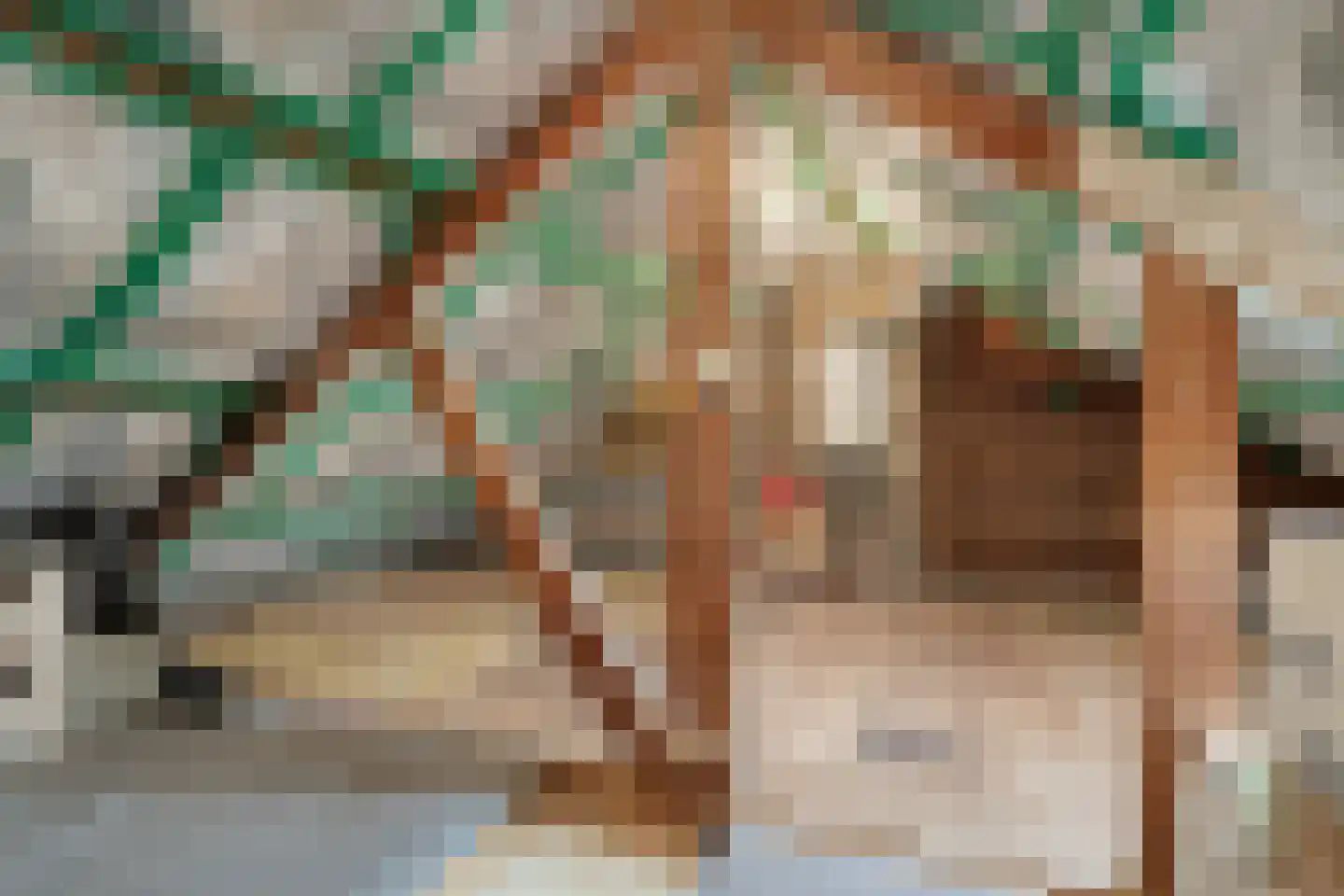 Palmboomstraat 104 's-Hertogenbosch thumbnail 22