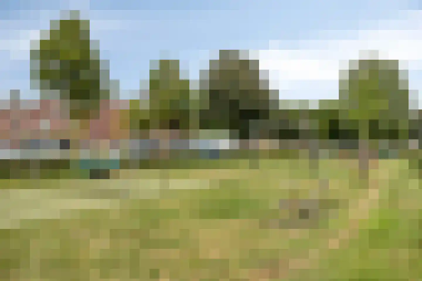 Palmboomstraat 104 's-Hertogenbosch thumbnail 24