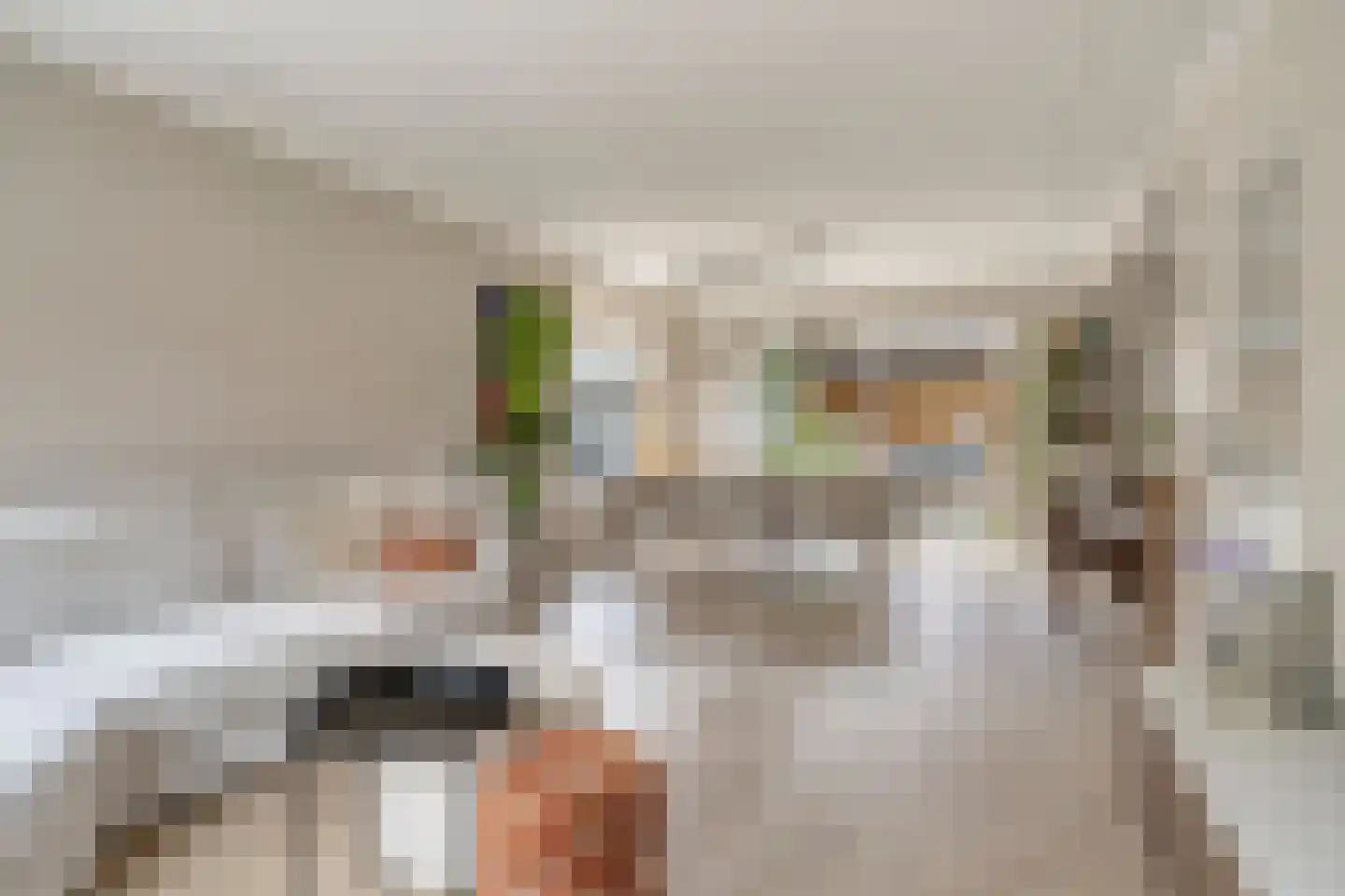 Palmboomstraat 104 's-Hertogenbosch thumbnail 4