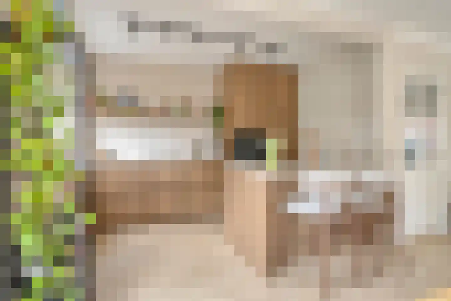 Palmboomstraat 104 's-Hertogenbosch thumbnail 7
