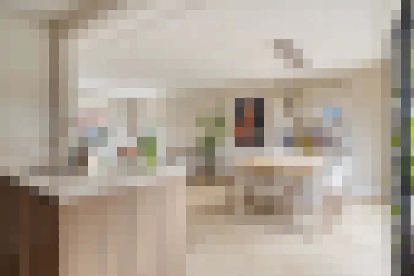Palmboomstraat 104 's-Hertogenbosch thumbnail 8