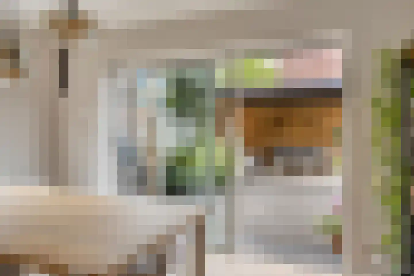Palmboomstraat 104 's-Hertogenbosch thumbnail 9