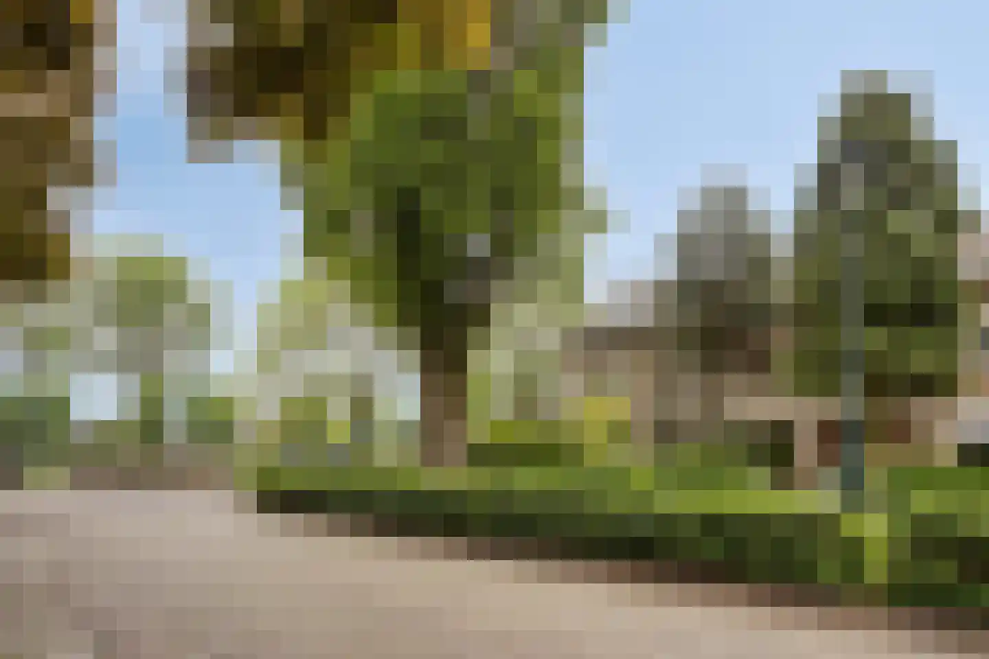 Palmboomstraat 109 's-Hertogenbosch thumbnail 30