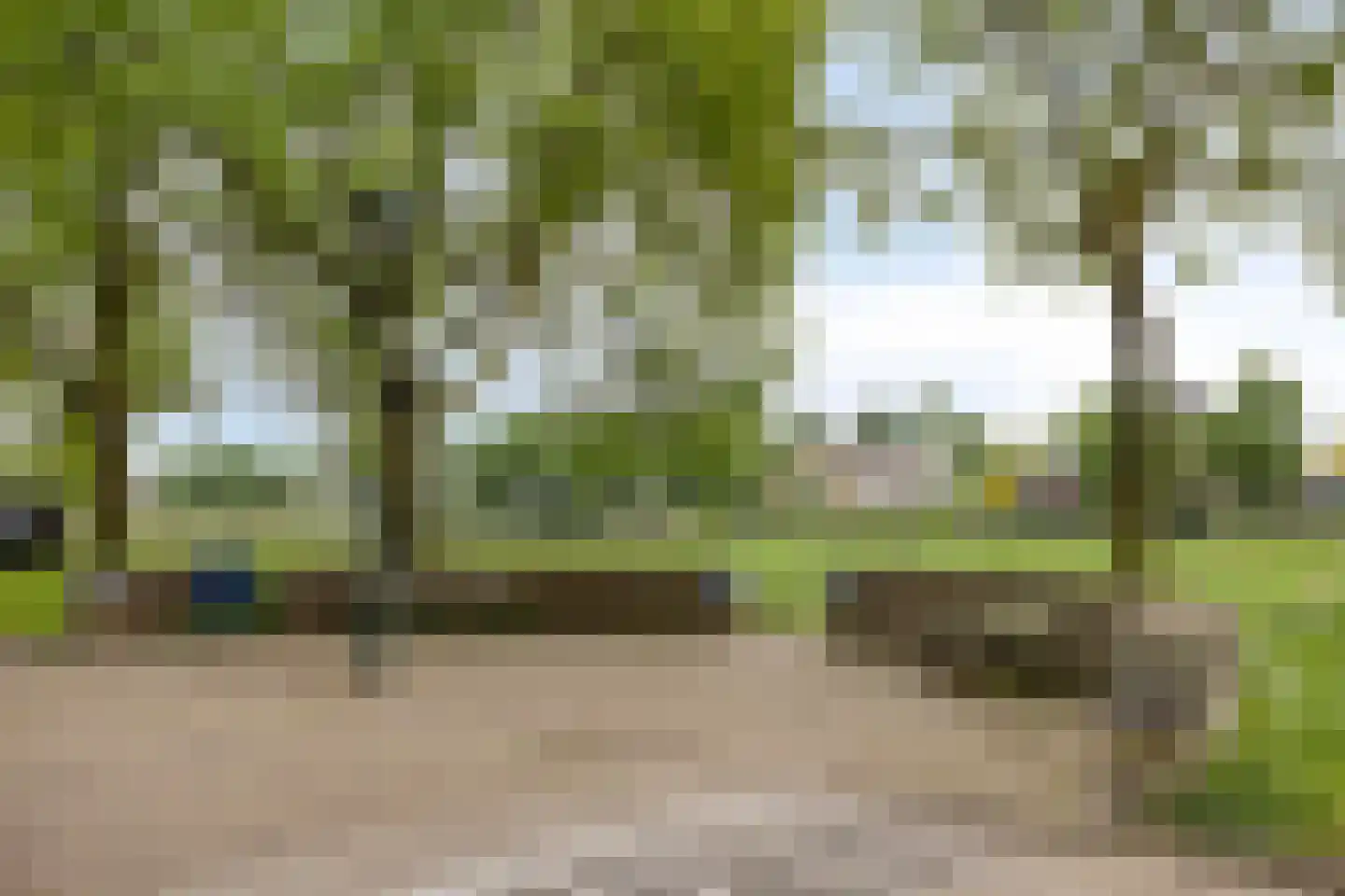 Palmboomstraat 109 's-Hertogenbosch thumbnail 31
